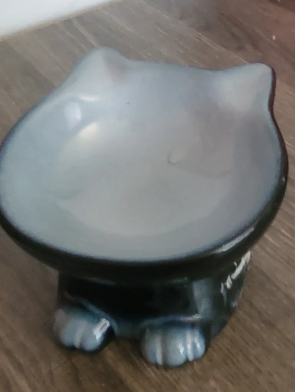 5 inch raised cat bowl